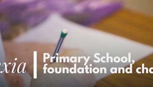 Primary School foundation and challenges