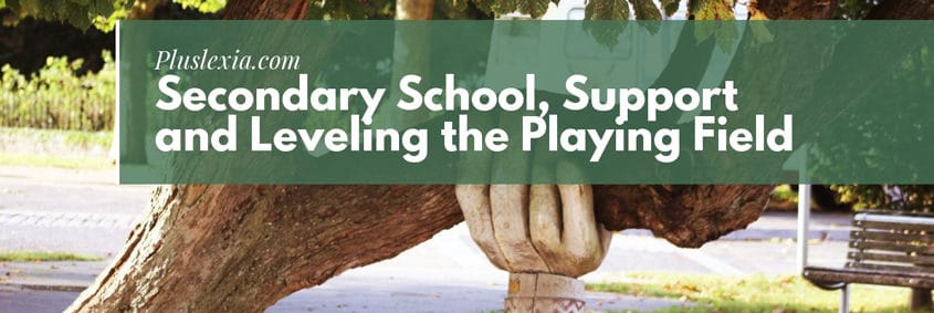 Secondary School, Support and Leveling the Playing Field